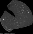 TrackStack_2025_07_31.jpg
