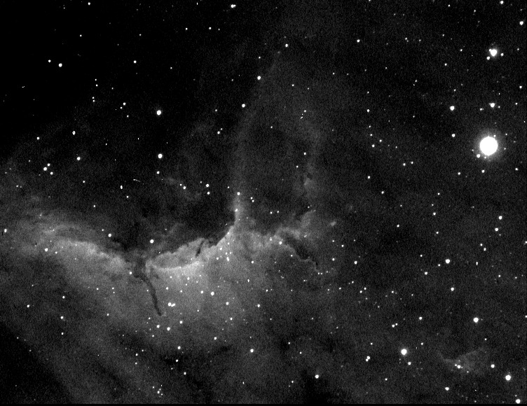 IC 5070 The Pelican Nebula in Cygnus
This is the first time I have used a Ha filter. The moon was high & due to a power misfunction I could only get 4 images, as Cygnus had moved too far overhead into trees. 
I tried to process, but was overdoing it, so this is just the stacked image.
Link-words: Nebula