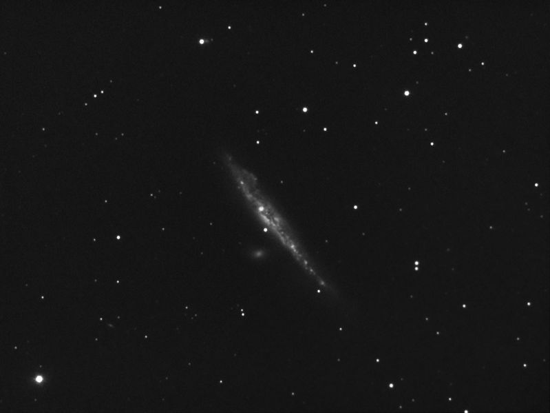 NGC 4531 the Whale
12x600
