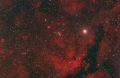 IC1318-Butterfly-Nebula-in-.jpg