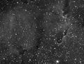 IC1396-The-Elephant-Trunk-j.jpg