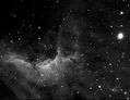 IC5070_Pelican_Nebula_4x_500_secs_Ha_250807_22_58.jpg
