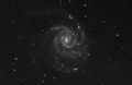 M101-13x-600-and-11x-480-SW.jpg