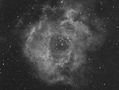 NGC2244-11x600-7nm-ha-ED80-.jpg