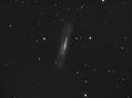 NGC3628-Leo-Triplet-12x600-.jpg