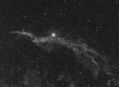NGC_6960_Veil_7x900_and_3x1200__QSI_SW120_0.jpg