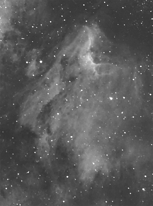 Pelican
Just to the west of the North American nebula (NGC7000) you can find the Pelican(NGC5070).
Link-words: Nebula