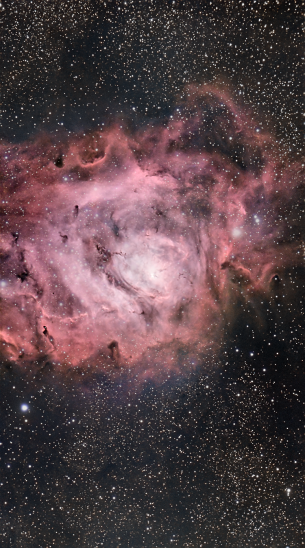 M8 Lagoon Nebula Western portion 
Messier 8 taken with the Seestar S50 in a 5h 27m 20s exposure, 20 second subs. Processed in PixInsight.

M8 is an area within our galaxy where stars are formed, the majority of the material in the image is Hydrogen gas that is being energised by hot young and massive blue stars. These hot stars generate a stellar wind which creates voids in the nebula. The darker areas superimposed on the pink background are cooler dense blobs of gas and dust, known as Bok Globules, which are collapsing to form more stars. Telescopes which can see in the infrared, such as the JWST, can see into these dusty globules and reveal the young stars being born within.
Link-words: M8 Lagoon