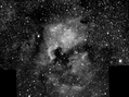 NGC7000Maxim2Crop~0.png