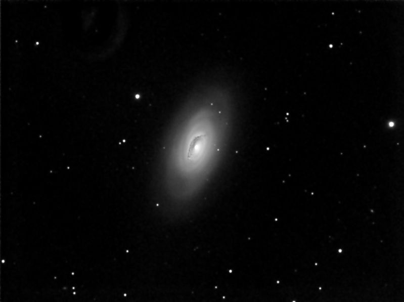 Black Eye Galaxy M64
Located in Coma Berenices at 24 Million ly from us.  It's an interesting galaxy in that the gas and stars in the central region rotate in the opposite direction to those in the outer.

This image was a sum of 10x180s but it needs a lot more exposure to display the outer smooth arms properly.
Link-words: Messier Galaxy