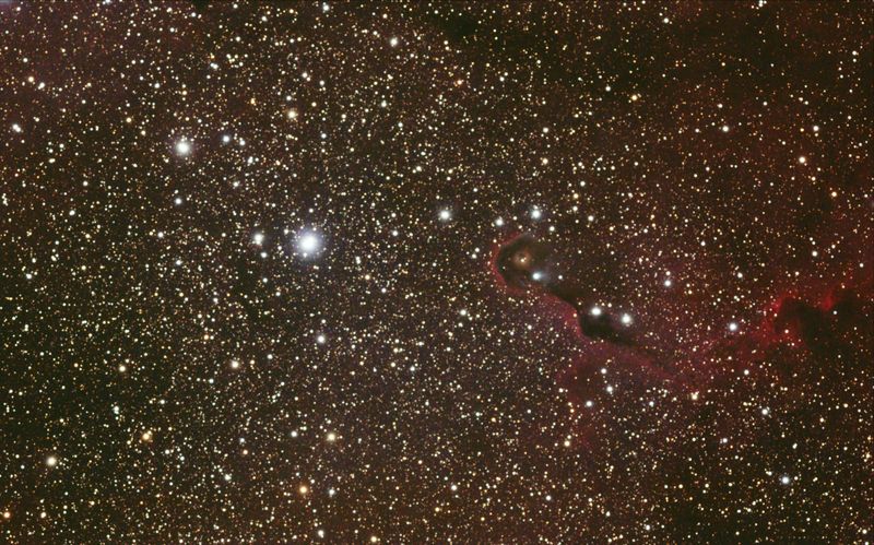 Elephant's Trunk Nebula 
36 x 5mins 800 ISO 

Link-words: CarolePope