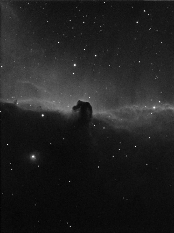 Horsehead Nebula
First Light with a CCD camera 
600 x 9 @ -12.8
Link-words: CarolePope