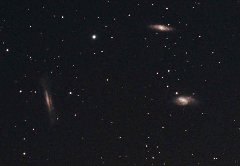 Leo Triplet M65, M66 & NGC 3628
Taken over 3 nights during a really extending period of cloud cover.  15 subs of 5mins 800ISO with darks flats and bias frames. 12th Feb 7 subs, 14th Feb 3 subs and 26th Feb 5 subs.  A painstaking process.  
Link-words: CarolePope