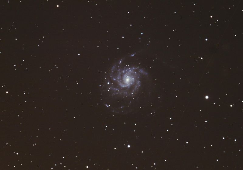 M101 and SN Kelling Sept 2011
Done over three nights.  It was low in the sky so could only take just over an hour each night.  
All subs 5 mins
26th Sept - 15 )affected by aurora)
27th Sept - 6
28th Sept - 15
Link-words: CarolePope