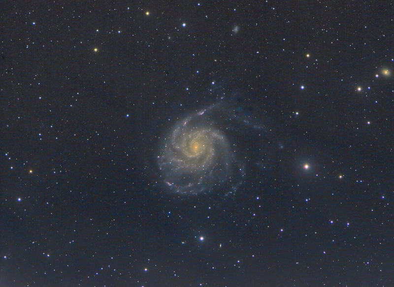 M101 Pinwheel Ga;axy
After a disaster with a failed dew heater I only got about half what I had planned on this target,  

Lum 3h 40mins
RGB 40mins
Total 4h 20mins 

ED80 Atik460EX
ED72 Atik460EX
Link-words: Carole