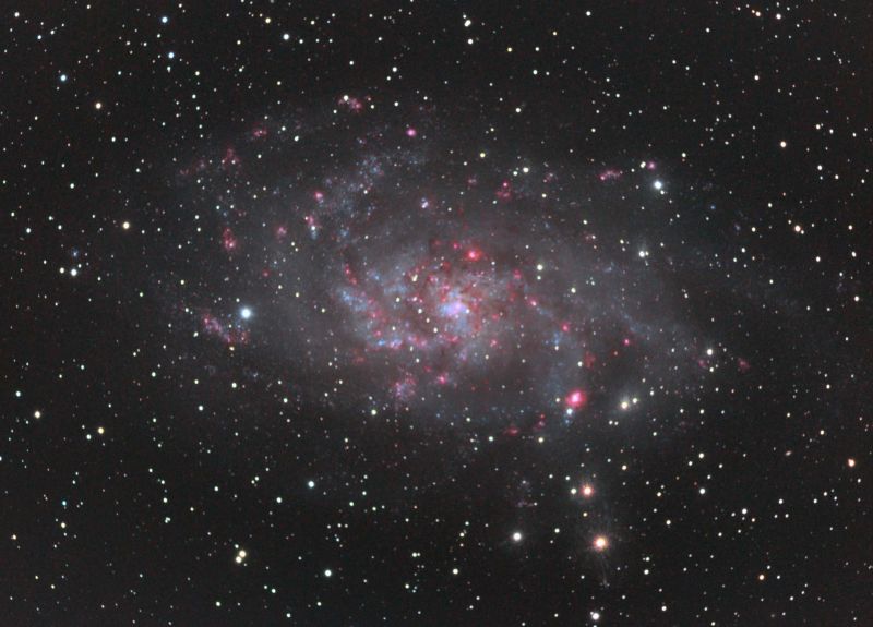 M33 HaLRGB
Ha added to my LRGB image taken from a variety of locations autumn 2013:
Green (Brecon Beacons)Sept 2013
Red (High Halden)Sept 2013
Lum and Blue (Kelling Heath)Oct 2013 
Ha (Bromley jan 2014 
Link-words: CarolePope
