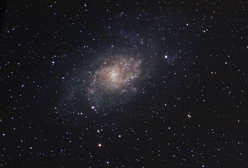 M33
Imaged over 4 nights at kelling Heath Sept 2011
total of 67 x 5mins Raw subs totalling 5 hours and 35 minutes.
Link-words: CarolePope