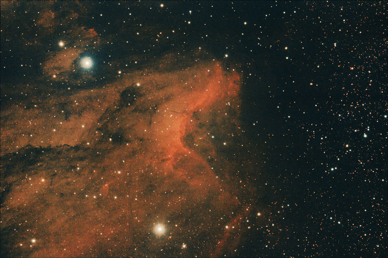 Pelican nebula IC5070 & IC5067
1 hour 40 mins in 5mins subs
Link-words: CarolePope