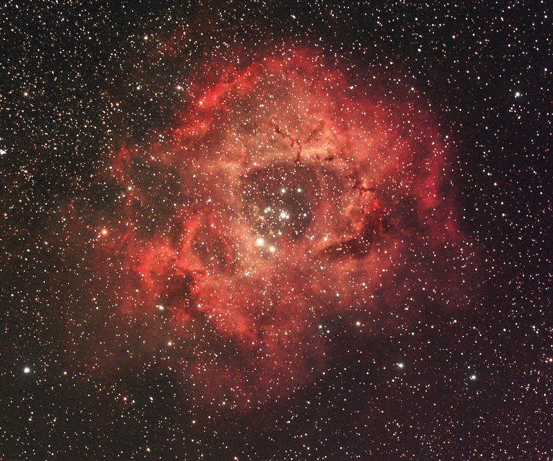 Rosette
38 x 5mins taken on two nights.  8th and 9th January 2011.  8 subs on 8th at 0 degrees and 30 subs on 9th at -2 degrees.  Darks done for each.
+ flats and bias frames.  
Link-words: CarolePope