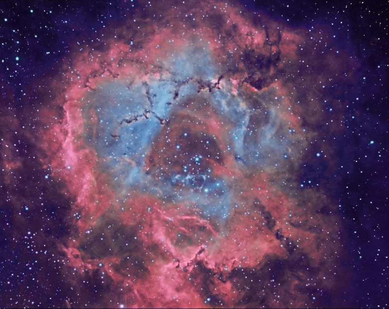 Rosette Nebula NGC2244
Ha entirely from the Esprit/460

Ha 12 x 600 (2h)
Ha 8 x 900 (2h)
Ha 3 x 600 binned x 3 (error!! but decided to combine it). 30mins
Total Ha 4 1/2 hours.

Oiii with Esprit/460 8 x 300 binned 40mins
Oiii with WO/383 9 x 600
Total Oiii 2 hours

Sii Esprit/460 8 x 300 binned 40mins
Sii WO/383 5 x 600 50mins
Total Sii 1 1/2 hours

Total imaging time 8 hours
