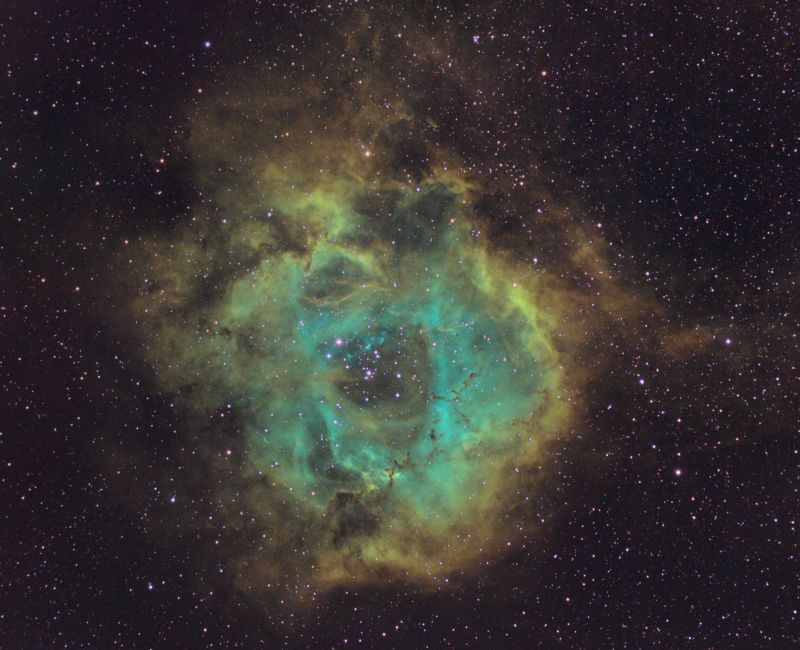 Rosette Nebula narrowband
Ha 12 x 600secs 
Oiii 9 x 600secs
Sii 5 x 600secs 
All Baaders filters 
Link-words: CarolePope