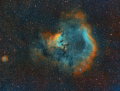 NGC7822_Skull_.png