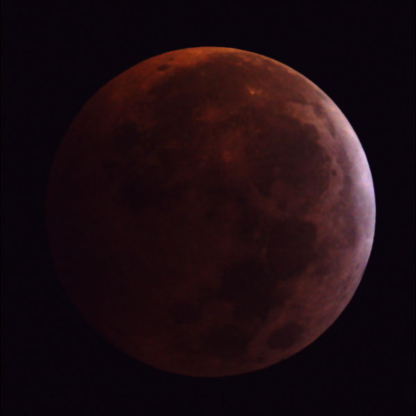 The Lunar Eclipse 21 Jan 2019 - Super Blood Red Wolf Moon!
Link-words: Duncan