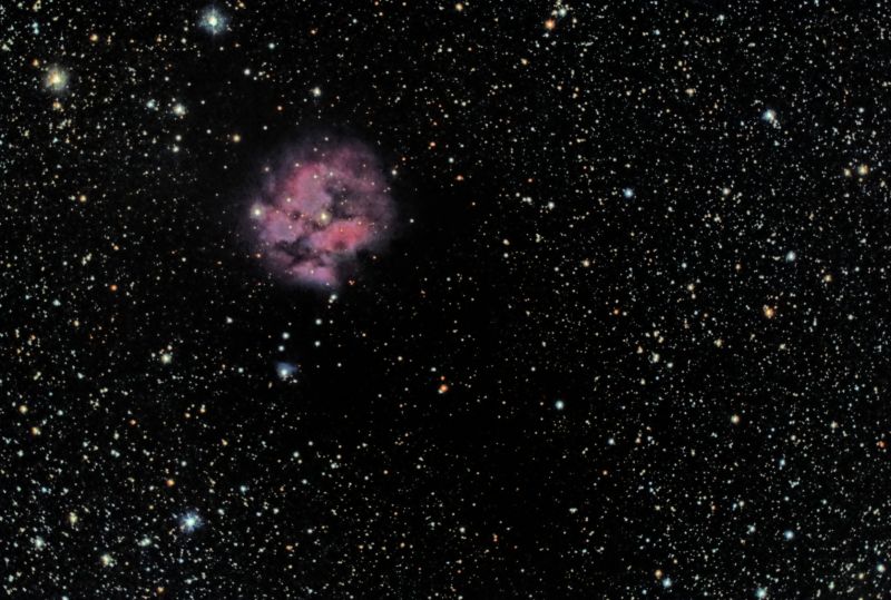 Cocoon Nebula IC5146, 17 to 22 August 2015, Manche, France - IRIS StarToolsVersion
58 x 5minutes @ ISO800
Link-words: Duncan