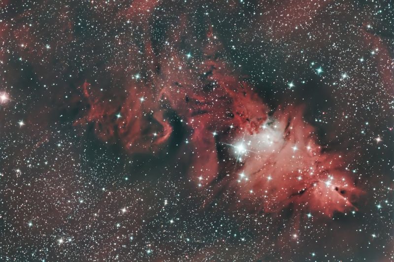 NGC 2264 and friends in Monoceros (Cone, Christmas Tree and Fox Fur)
Group of 148 Light frames (126 active) x 240s - 9.8 hours
Gain 120, Offset 4, Temp-5c

_SCC_ABE_EZDecon_EZDenoise_GHStretch_DSE
