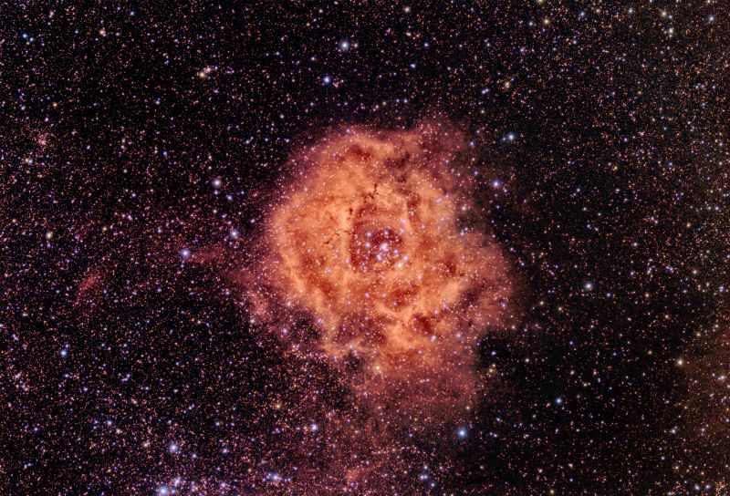 Rosette Nebula and Cluster NGC2237, 3 Dec 2019
Rosette_B - N.I.N.A.
Exp.30.00s X 577
Gain 300.00
0ffset 10.00
Temp.-14.10

Pixinsight Processing:
ABE_PCC_SM_Decon_MLT_HT_MT_CS_Conv(stars)_LHE_SCNR
Link-words: Duncan