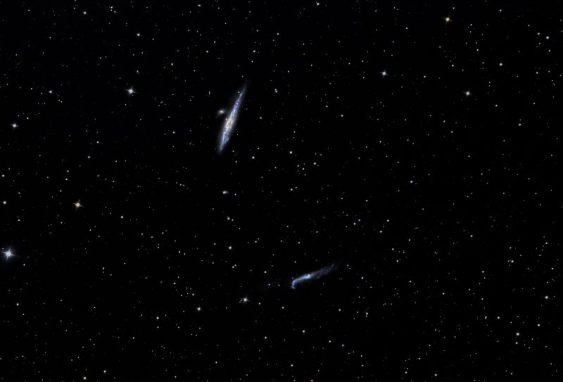 The Whale and the Hockey Stick, NGC 4631 and NGC 4656
Acquisition: N.I.N.A. 69x240s= 4.6 hours Gain 120 Offset 4 Temp -5C
Pixinsight: WBPP, autocrop, ABEsubtract, ABE division, Dust Donut Removal,  EZdecon, repeat Dust Donut Removal, EZDnoise, GSH colour, CT

Affinity: Clarity with mask, Astrophoto - Background Removal
