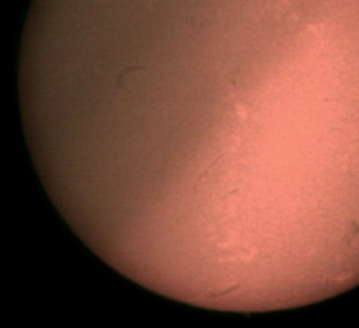 The Sun
Experimenting using my Celestron NexImage Imager with the Coronado Solarscope.
Link-words: Sun