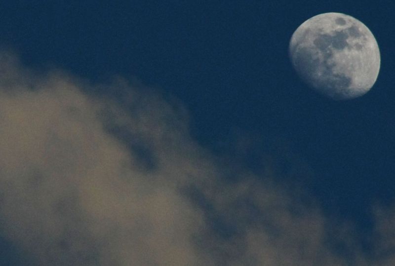 Daylight Moon between clouds
Single exposure of the daylight Moon between clouds on a very windy day.
Link-words: Moon
