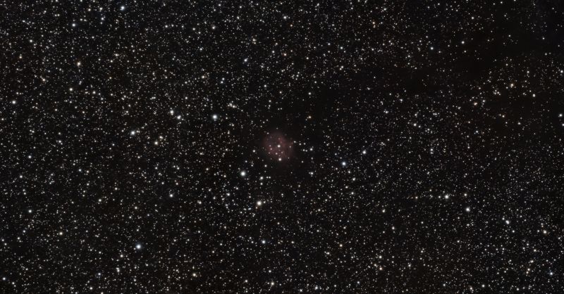Cocoon Nebula
Cocoon Nebula in Cygnus
Link-words: Nebula
