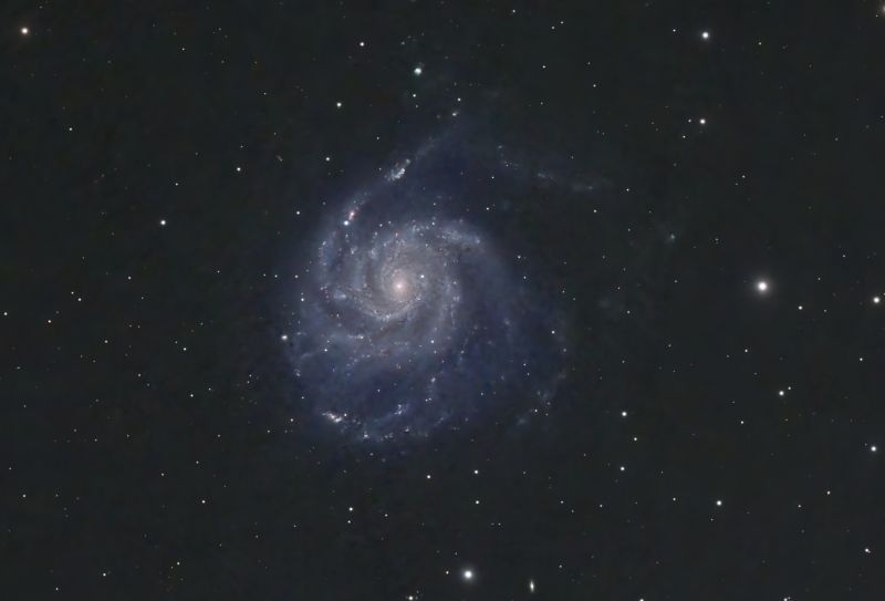m101supernova
M101 together with SN 2023ixf  41 x 180s exposure bortle 5
Link-words: Galaxy