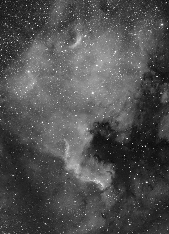 NGC7000 North American Nebula in Cygnus
12x600 Leitz Telyt APO lens 180 f3.4, Atik 314L, Ha
Link-words: Nebula