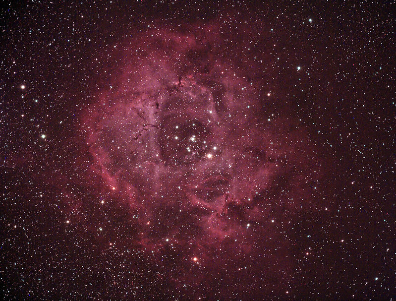 NGC 2244 The Rosette Nebula in Monoceros 
This is reprocessed former image
Link-words: Nebula