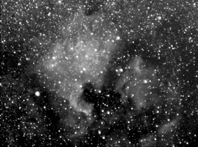 NGC7000
NGC7000, the North American nebulae in Cygnus is a very large area of emission nebulosity extending some 2.5 degrees to the east of Deneb. It was discovered in the early 1890s during experiments into wide field astrophotography. Other objects to note are the Pelican Nebulae IC5067/5070, Barnard 353 (Dark nebulae in NGC7000), IC 5068.
Link-words: Nebula