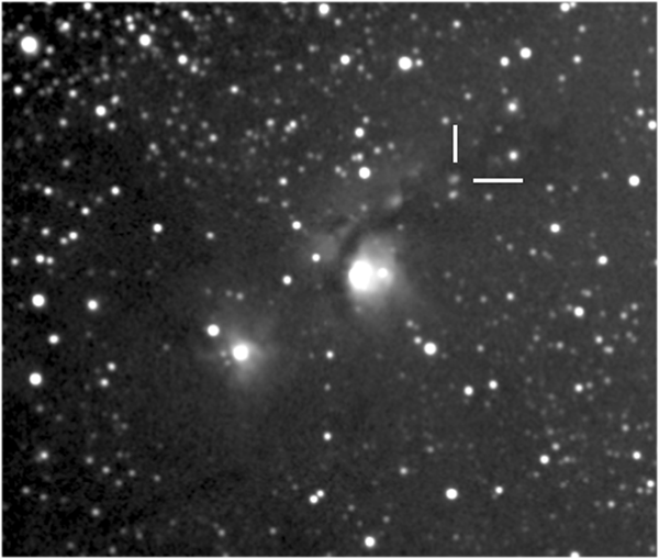 M78 and the newly discovered McNeil's Object
[b]Discovery announcement from IAUC 8284 - 9th February 2004[/b]
 A report was received from J. W. McNeil, Paducah, KY, of the appearance of a new nebula in a dense region of the Lynds 1630 cloud in Orion, and apparently associated with IRAS 05436-0007, on his unfiltered CCD images taken with a 7.6-cm refractor on Jan. 23 UT. The object, which is located at R.A. = 5h46m14s, Decl. = -0o05'.8 (equinox 2000.0), was then of total mag about 15-16 (with his CCD camera's sensitivity peaking at 575 nm), but it is not present on seven Digitized Sky Survey images from 1951 to 1991. B. Reipurth, University of Hawaii (UH), confirms that a faint optical counterpart to IRAS 05436-0007 has gone into outburst and has produced a large reflection nebulosity, based on preliminary examination of red broadband CCD images obtained with K. Meech at the UH 2.2-m telescope on Jan. 31. Reipurth adds that this is a very rare event, apparently similar to that involving IRAS 05380-0728 (cf. Reipurth and Bally 1986, Nature 320, 336). The outburst may be an EX-Lup-type or FU-Ori-type eruption, driven by a sudden increase of accretion through a circumstellar disk, and thus in urgent need of observation (see Herbig 1977, Ap.J. 217, 693; Lehmann et al. 1995, A.Ap. 300, L9; Hartmann and Kenyon 1996, ARAA 34, 207). Reipurth also notes that HH 22 is in the line-of-sight of this new nebula but is not physically involved with the nebula
Link-words: Messier Nebula Star