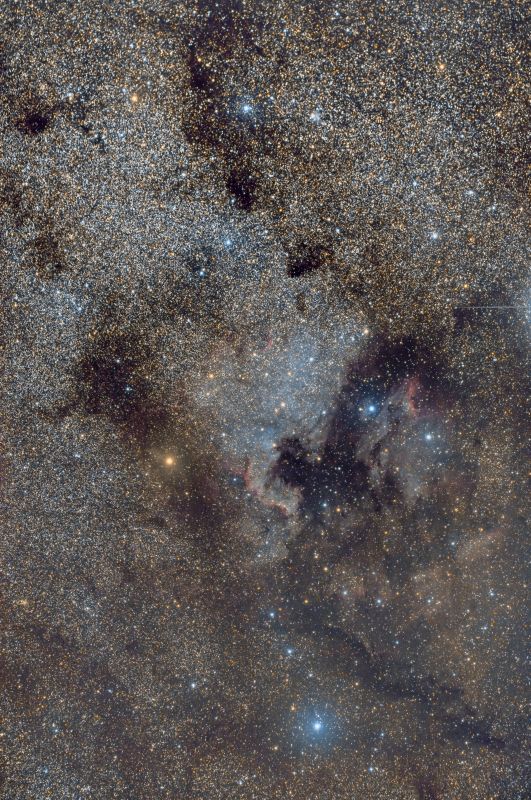NGC7000
The area around NGC7000 The North American Nebula
72 minutes (24X180s)
