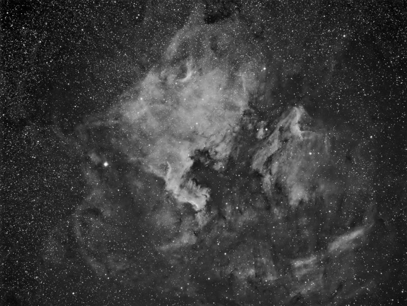 NGC7000 Widefield
A widefield image of the North America and Pelican nebulas
