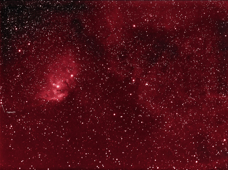 The Tulip Nebula Sh2-101 and Cygnus X1 X-ray source 
Sh2-101 is a bright emission nebula in the constellation of Cygnus, also just on screen is Cygnus X1. This is a Supergiant star orbiting a black hole at a distance of about 0.2 AU, material falling into the black hole from it's companion generates prodigious quantities of X-rays.

This is a false colour Ha image using 13 x 300s subs. 
Link-words: Nebula
