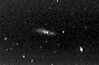 M108 through Ha filter
M108, a little small due to the focal length of the telesscope used, taken through a Hydrogen Alpha filter.  M108 is an Sc spiral galaxy with an interesting and complex structure located about 45 million light years distant in the constellation of Ursa Major. It has a visual magnitude of 10, despite which it is quite easy to spot in small telescopes. M108 was formally discovered by P. Mechain (Messier's assistant) on 19 February 1781. Messier gave this object a preliminary listing of 98 but it did not form part of his published catalogue at the time. It was classified as M108 and formally added to the Messier catalog in 1953 by O. Gingerich.
Link-words: Messier Galaxy