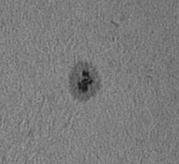 Sunspot 28th August 2007
Small sunspot on the 28th August 2007
Link-words: Sun