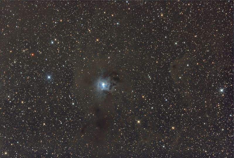 NGC 7023 - The Iris Nebula
Iris Nebula with combined data from Lydd and Riberac
(21 + 25) x 5 minute exposures
