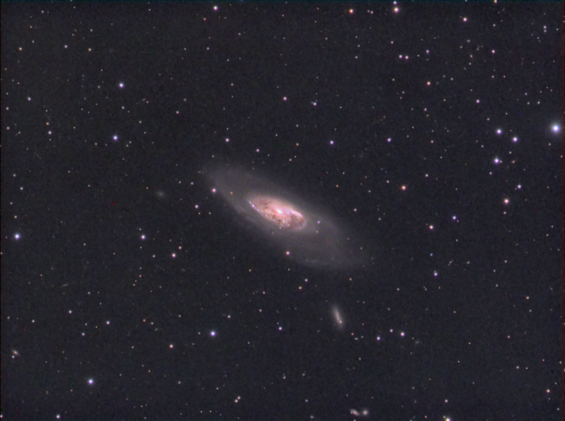 M106
Luminance 600 x 12
Ha 600 x 4
RGB total of 40mins in 150sec subs binned x 2
Needs a lot more data, but ran out of time at this location and it was 5am in the morning.

Atik428EX, ED80 and HEQ5
Link-words: CarolePope
