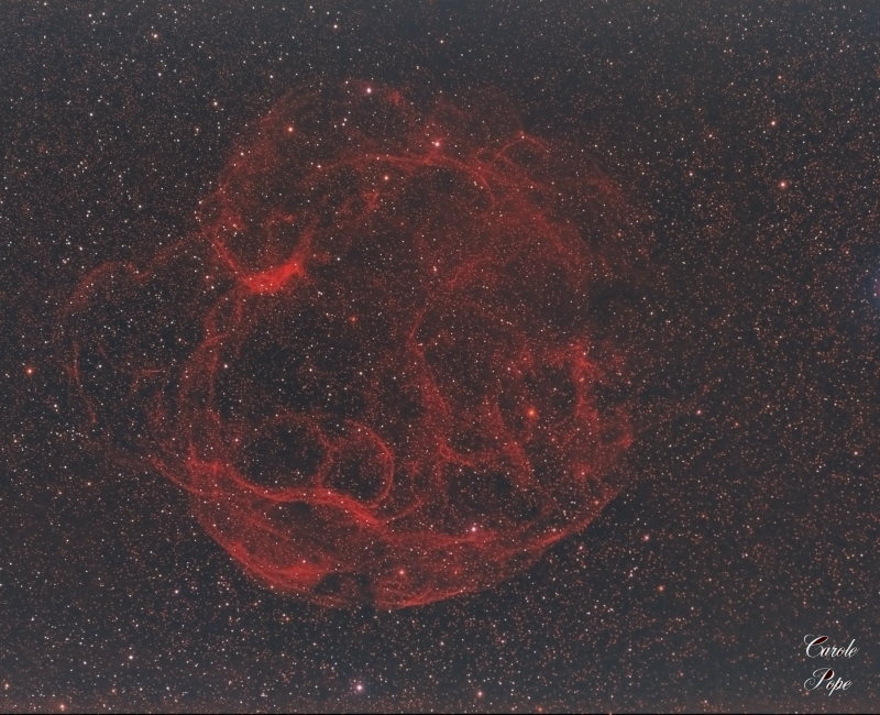Simeis 147 (AKA the Spaghetti Nebula)
I thought this would be a challenge from my backyard @ Bortle 8, but have been wanting to get this very large nebula for years, so decided being stuck at home in lockdown, I would give it a go with my Samyang lens.

Ha 21 x 600
RGB 5 x 150 each
Samyang lens 135mm @ f2.8
HEQ5
Link-words: CarolePope