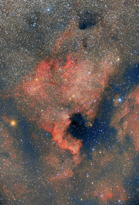 NGC 7000 North American Nebula
35x240s
Gain 120
Offset 4 
Temp -5C
Processing:
ABE_PCC_Rotate_EZDec_EZDen_ASINH_EZSS_EZSR_EZHDR_SCNR_CT_CS_Darktable_Irfanview
Link-words: Duncan