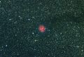 IC5146_Cocoon_Nebula_3h07m_50xE250s_G121_O4_T-15_APT_DSS_Calib_DarkTable.jpg