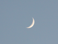 IMG_5545_Moon_cropped.png